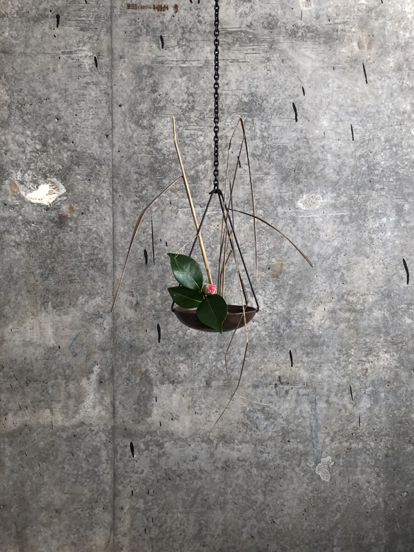 010225, camellia, elephant grass, hanging copper bowl and iron chain