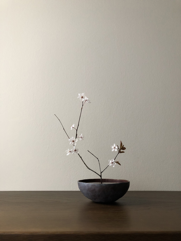 070324, plum blossom