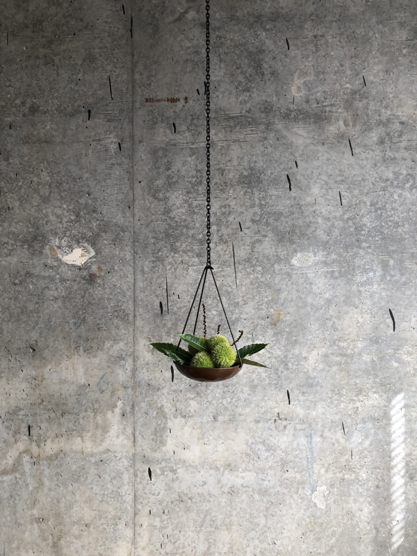 070925, sweet chestnut, hanging copper bowl and iron chain