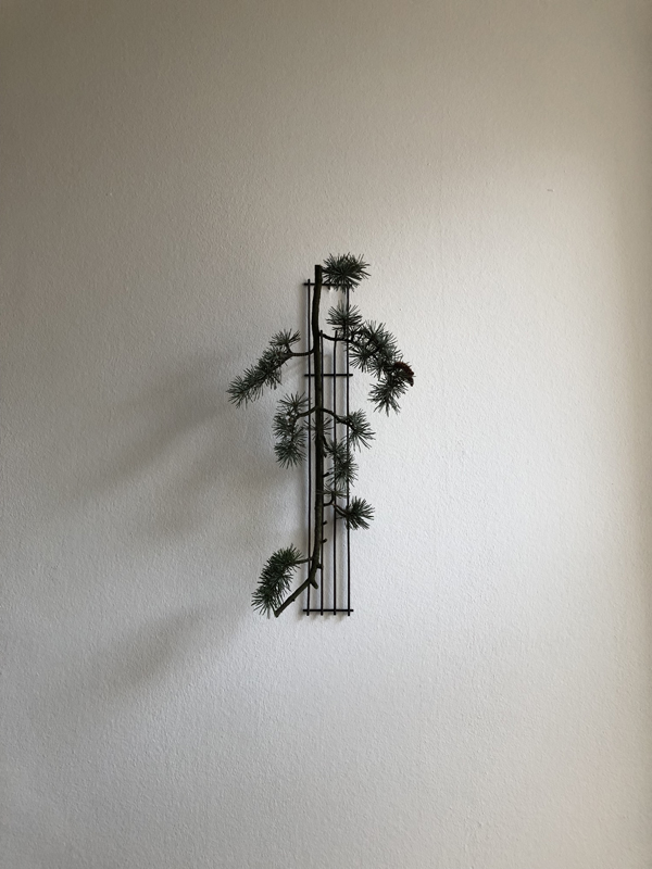 atlas cedar, iron suihatsu