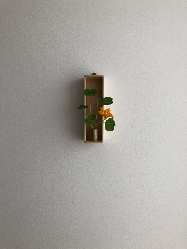 100825, monks cress