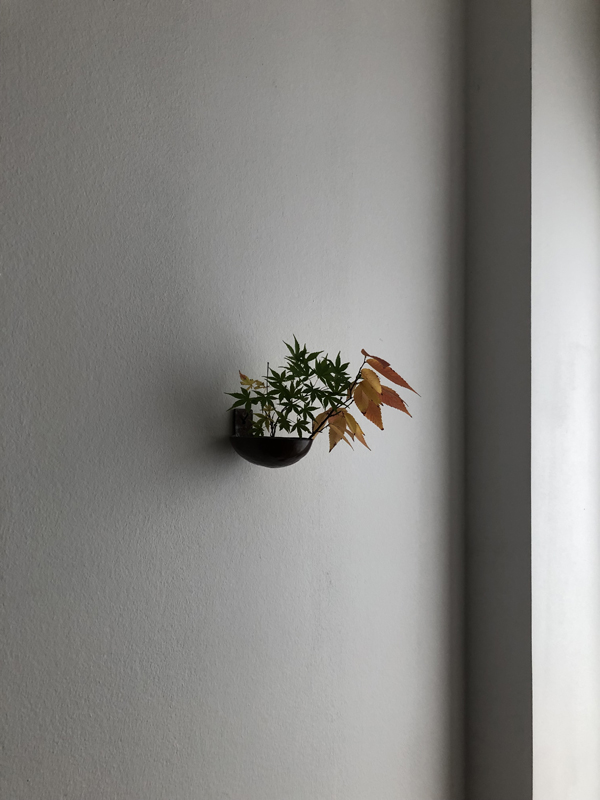 131024, maple, grey-bark elm, wall copper bowl