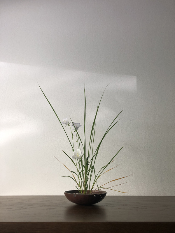 140625, paper bellflower, grass, hanging copper bowl and iron chain