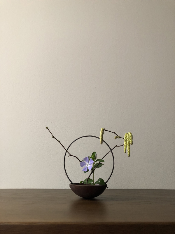 vinca, hazel, copper, iron