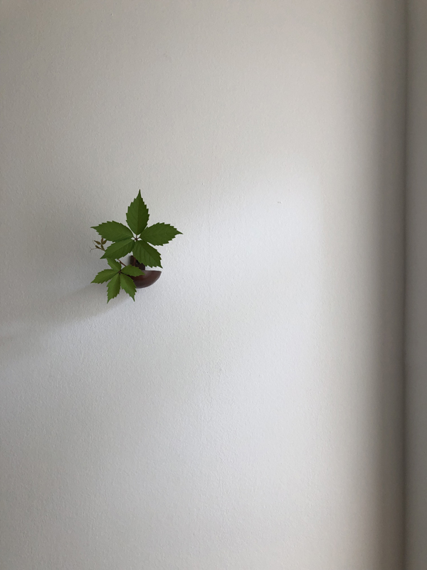 200524, virginia creeper, wall copper bowl