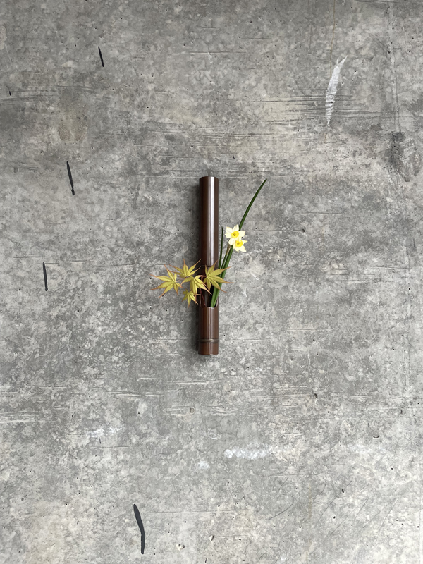 daffodil, maple, brass