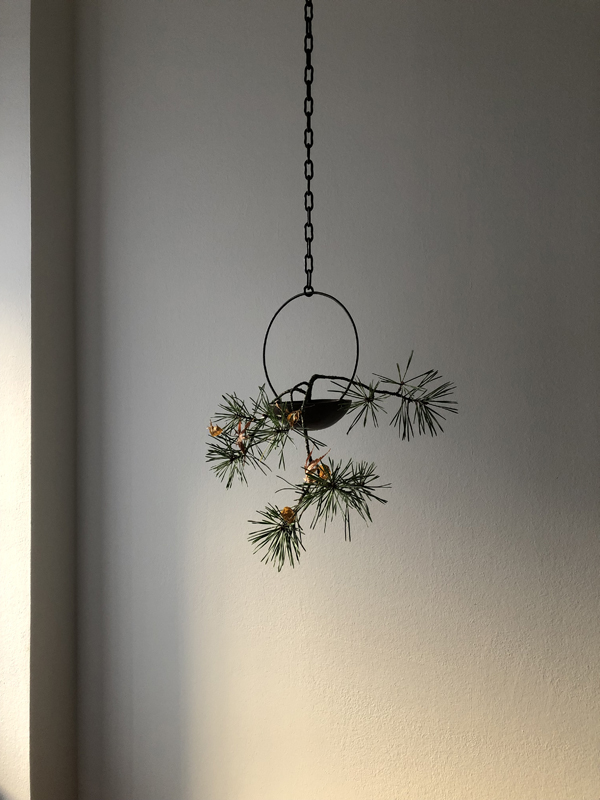 pine, maple, copper, iron