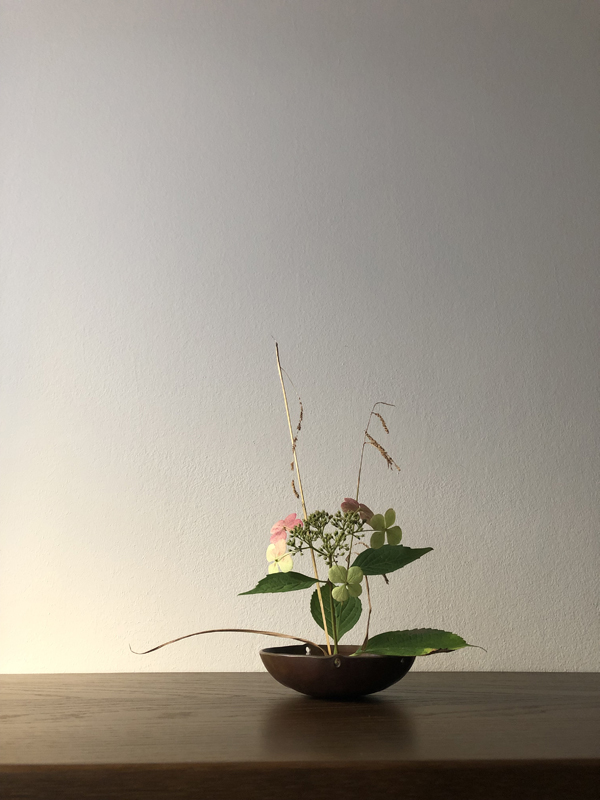 251024, hydrangea, weeping sedge, copper bowl