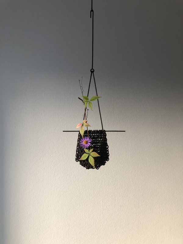 aster, woodbine, bronze vase, iron chainmail