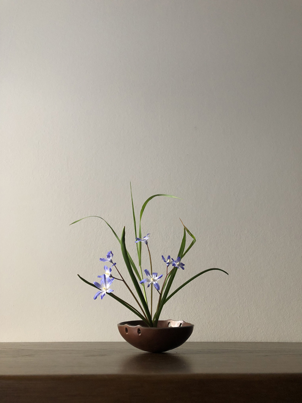 280325, glory of the snow, grass, copper bowl